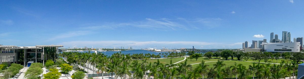 Argentina a la final del Mundial 2026: Miami celebra